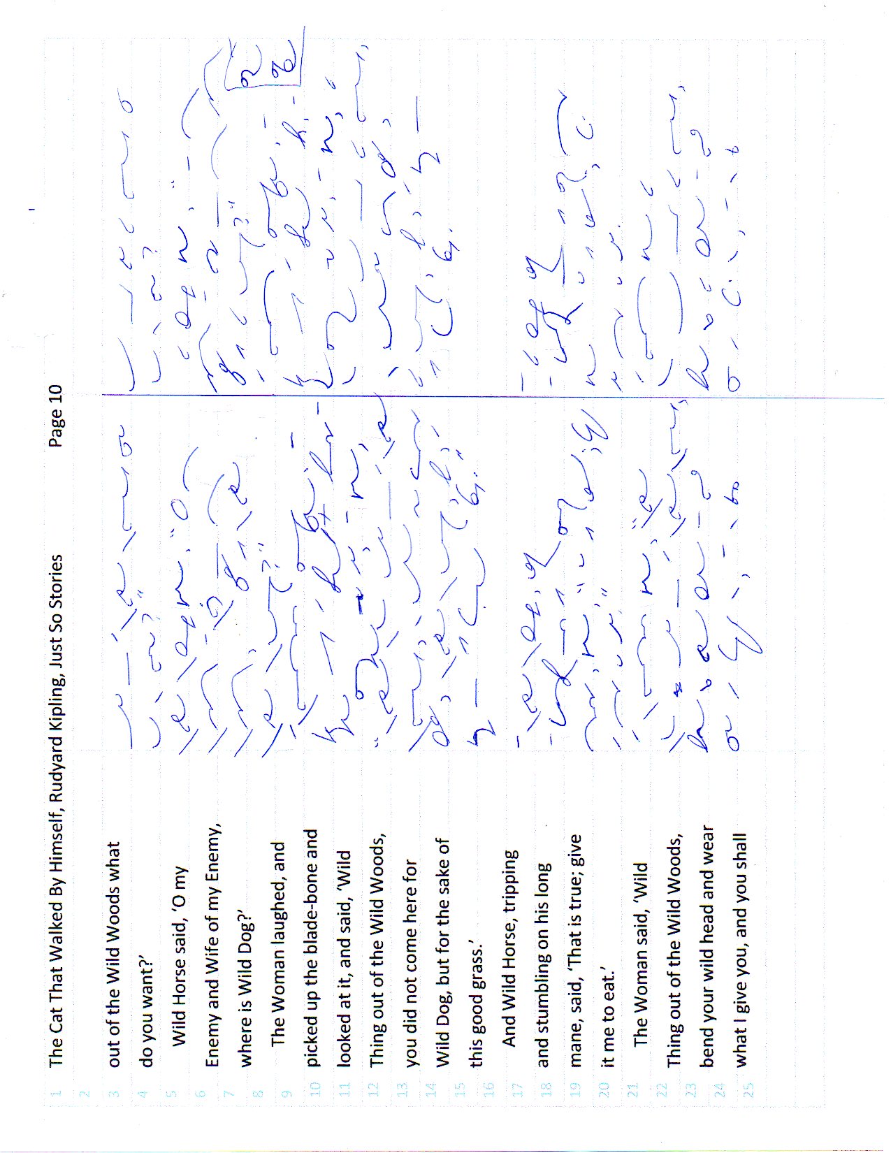 Cat page 10