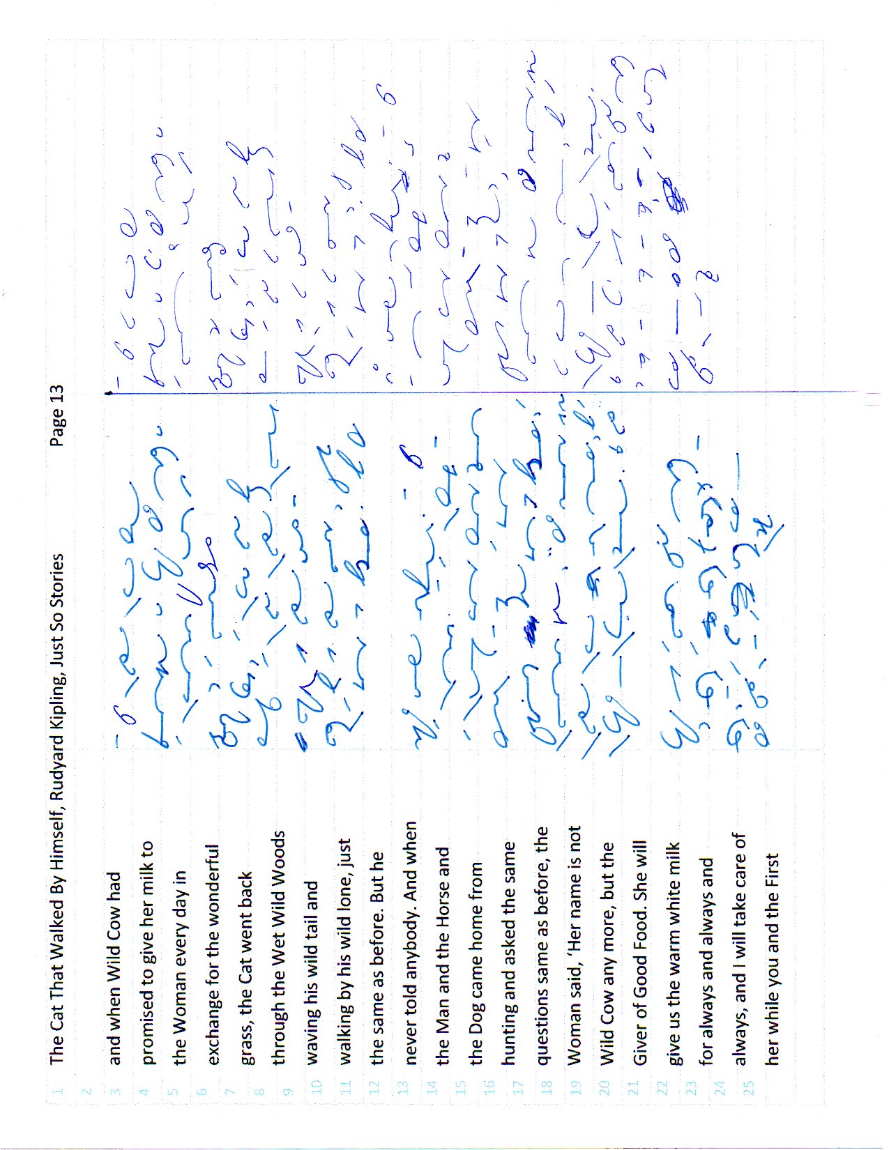 Cat page 13