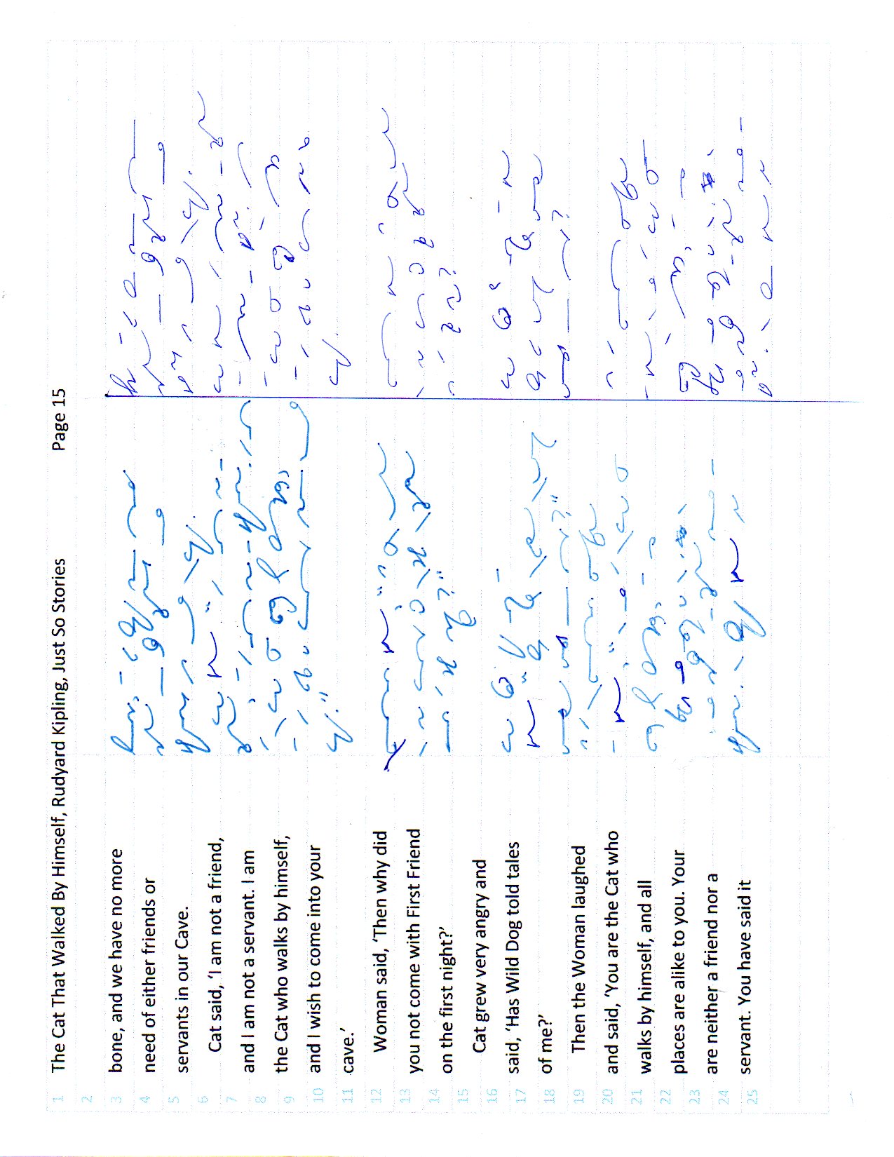 Cat page 15