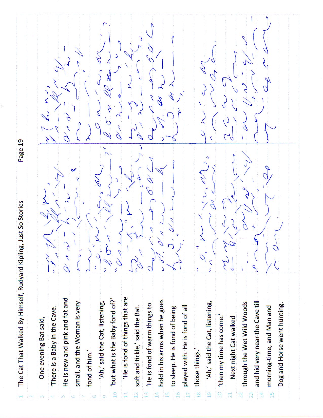 Cat page 19