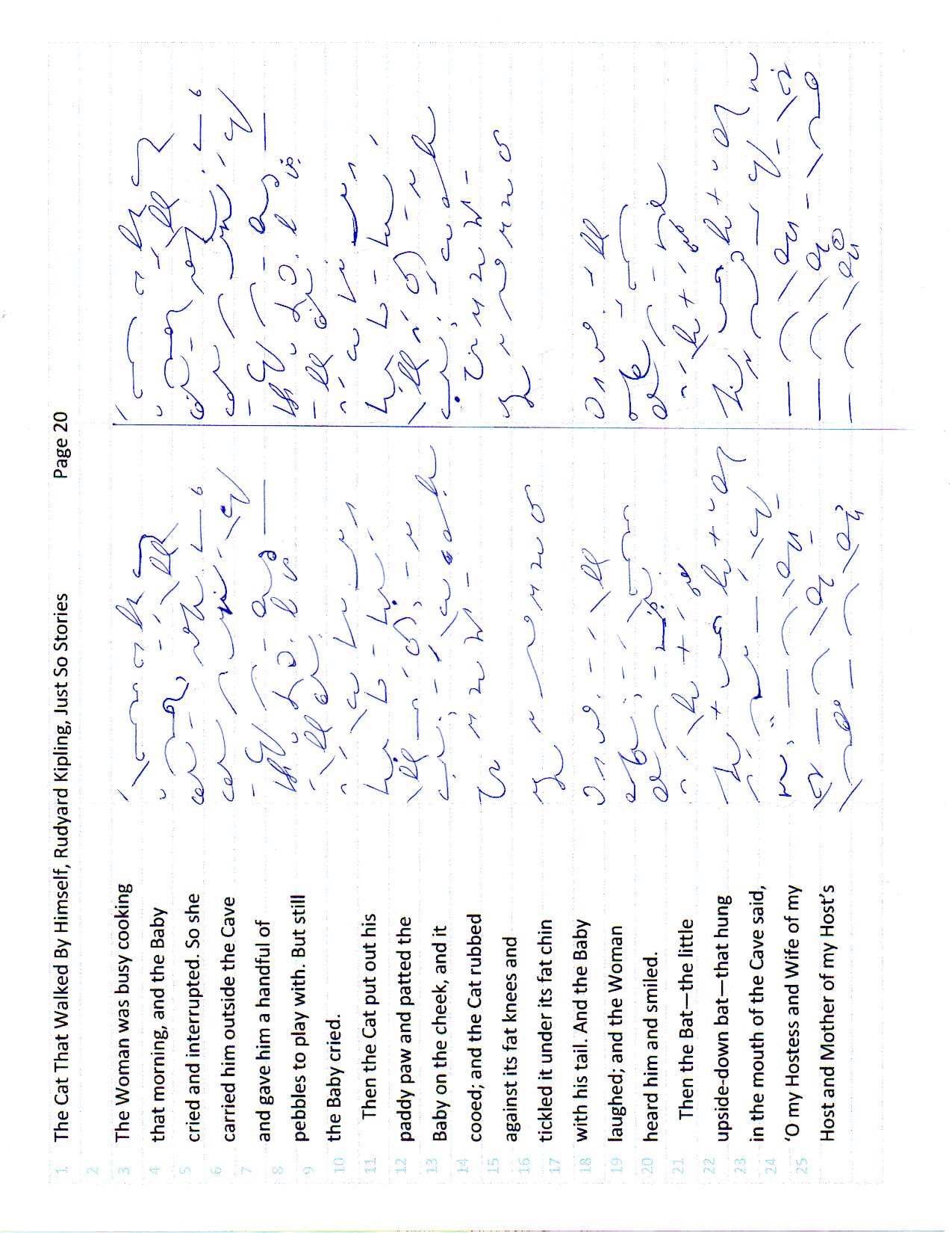 Cat page 20