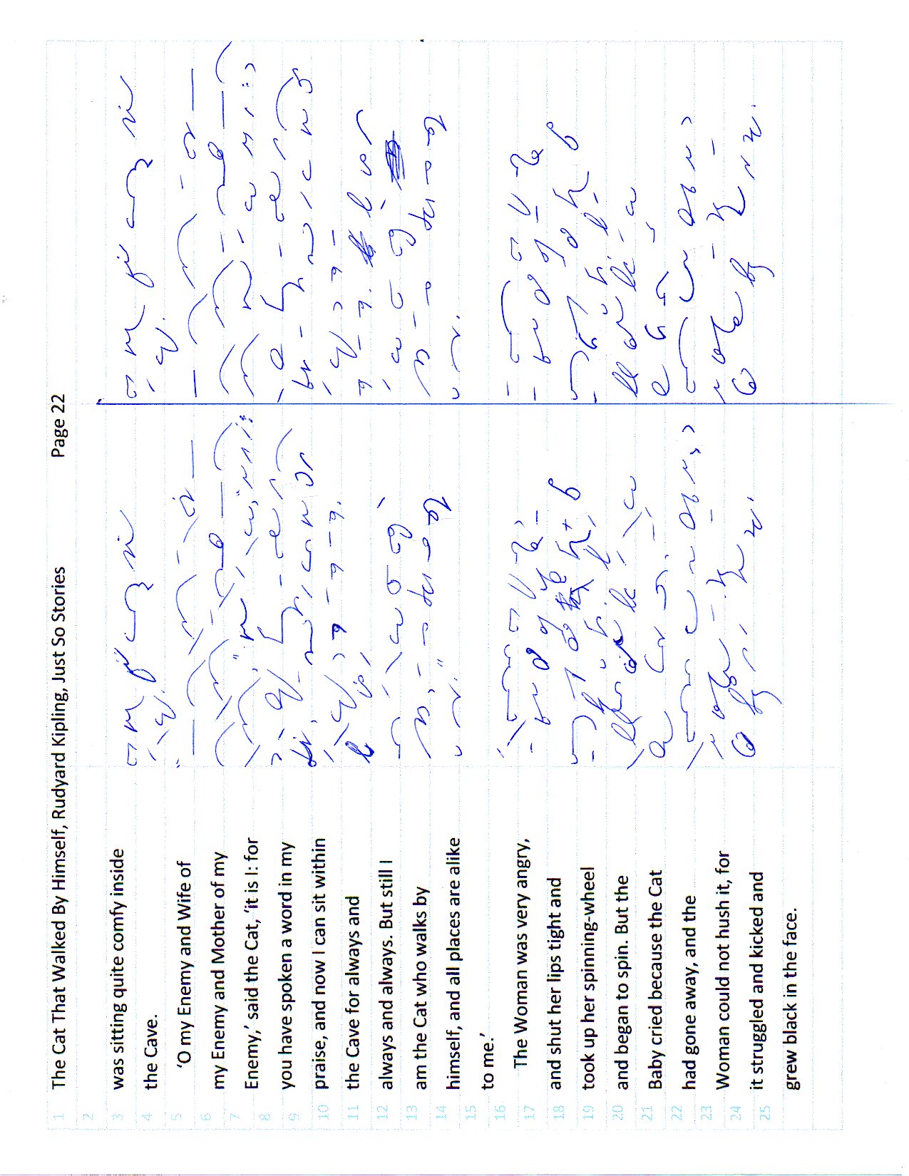Cat page 22