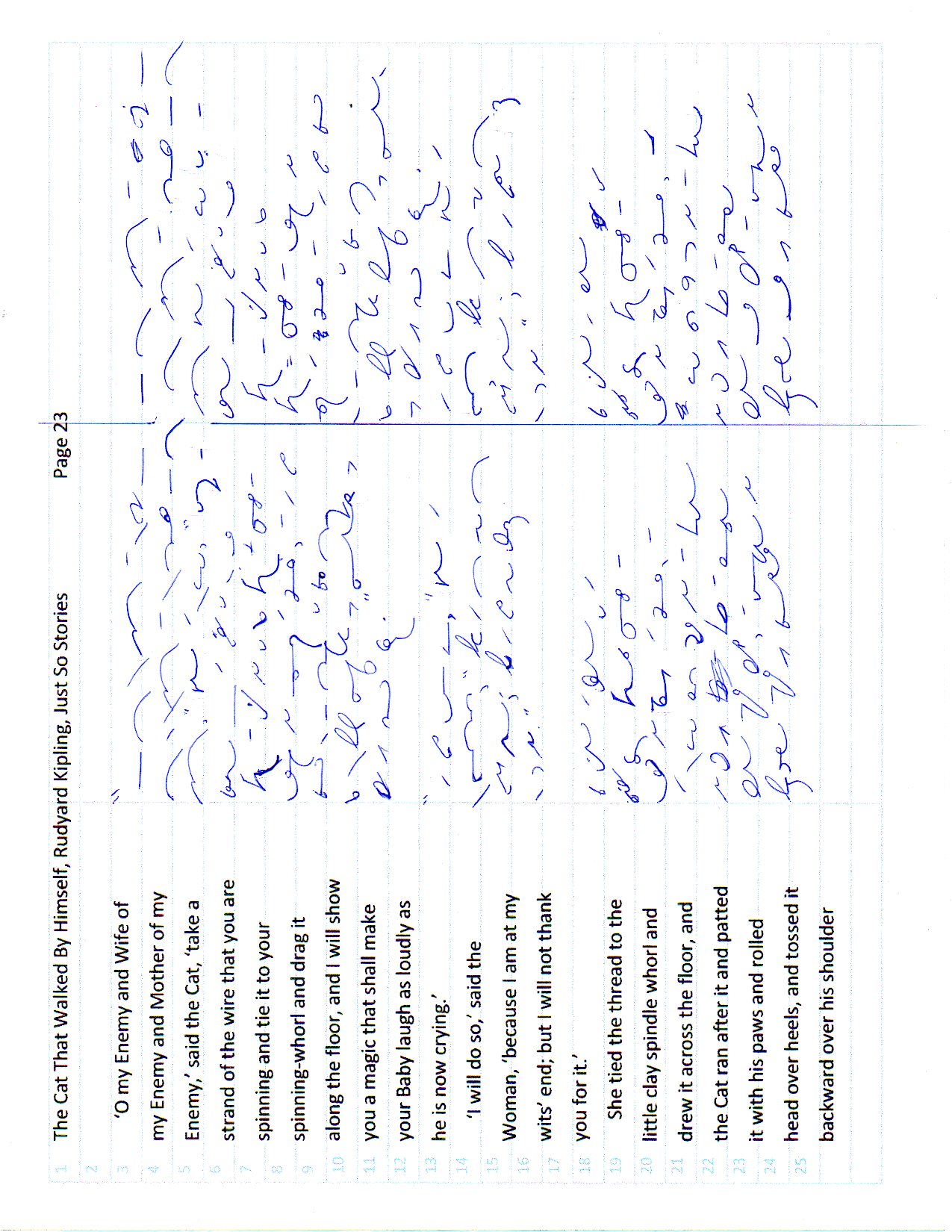 Cat page 23