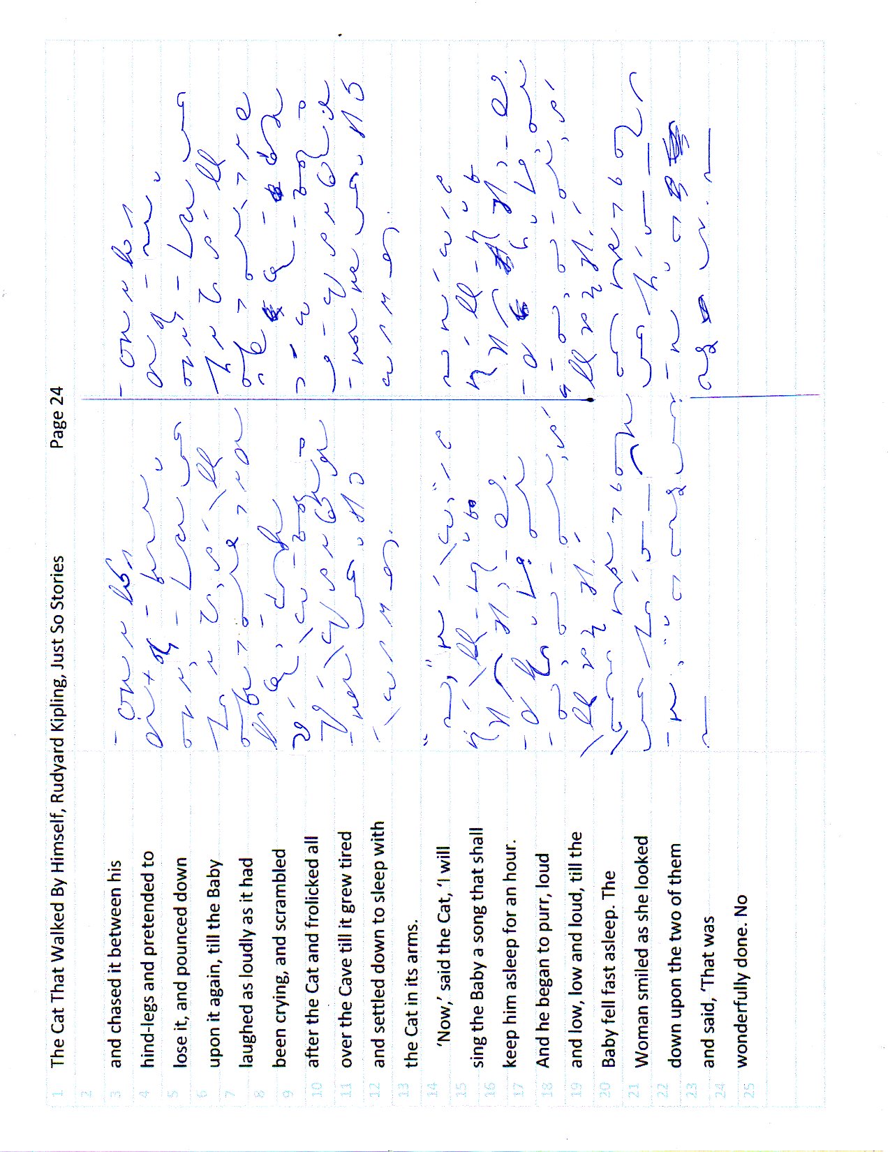 Cat page 24