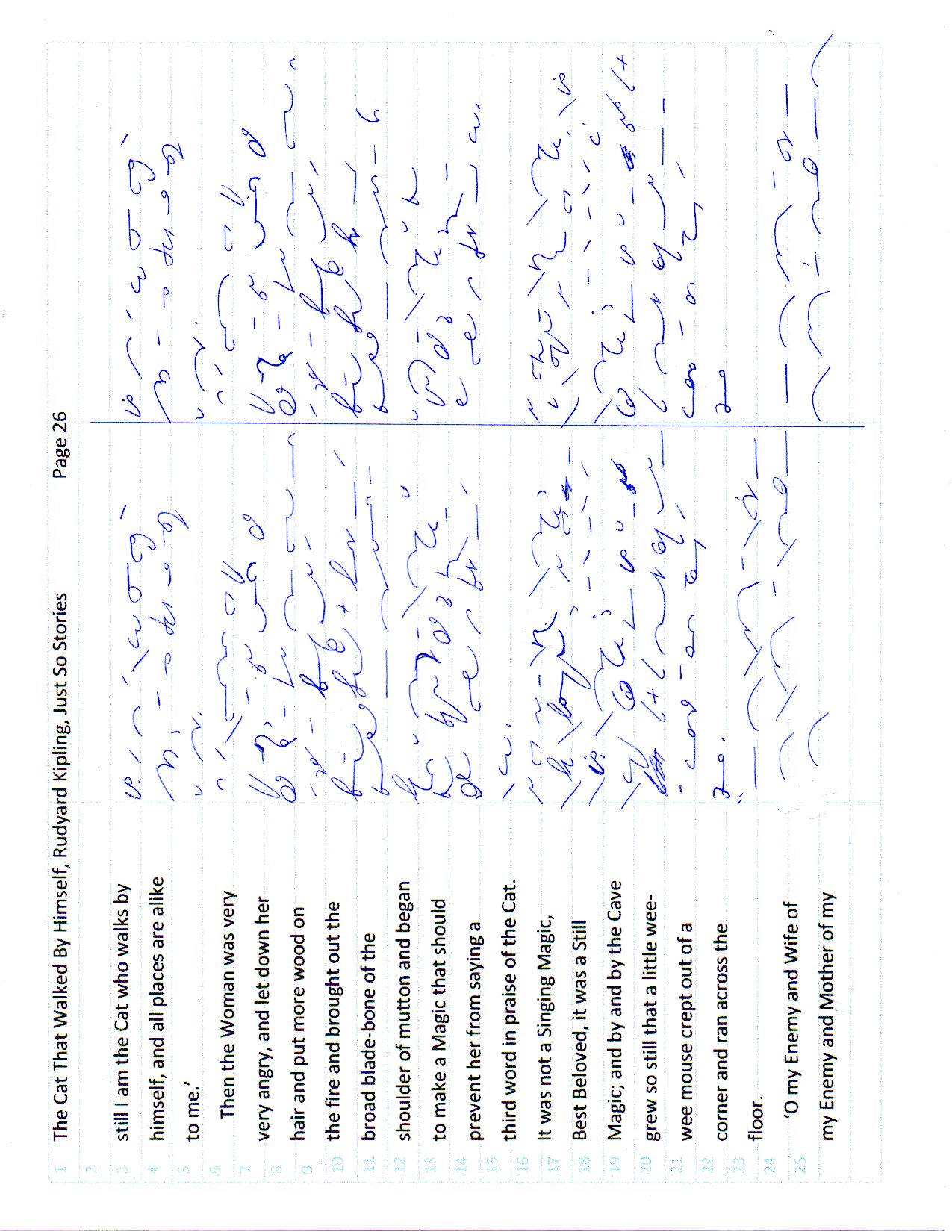 Cat page 26