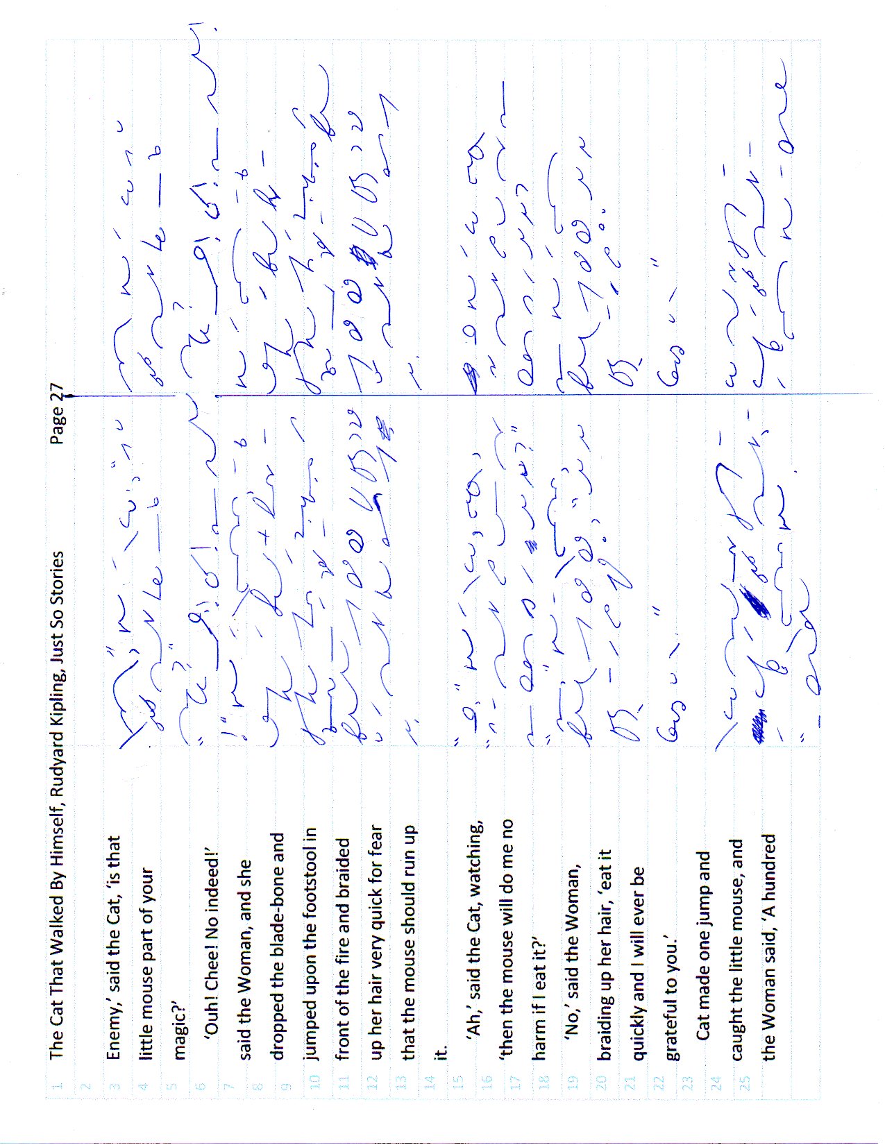 Cat page 27